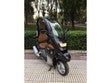 ir a ficha de vehículo BMW C1 Executive