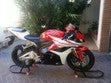 ir a ficha de vehículo HONDA CBR 600 RR