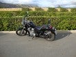 ir a ficha de vehículo HONDA VT 600 C SHADOW