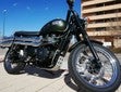 ir a ficha de vehículo TRIUMPH Scrambler