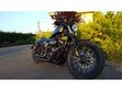 ir a ficha de vehículo HARLEY DAVIDSON XL 883 SPORTSTER