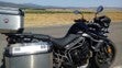 ir a ficha de vehículo TRIUMPH TIGER