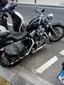 ir a ficha de vehículo HARLEY DAVIDSON XL 883 SPORTSTER