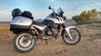 ir a ficha de vehículo TRIUMPH TIGER