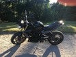 ir a ficha de vehículo TRIUMPH STREET TRIPLE