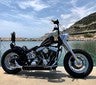 ir a ficha de vehículo HARLEY DAVIDSON softail heritage 1450